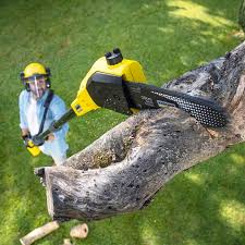 Leaf Removal in Pascagoula, MS